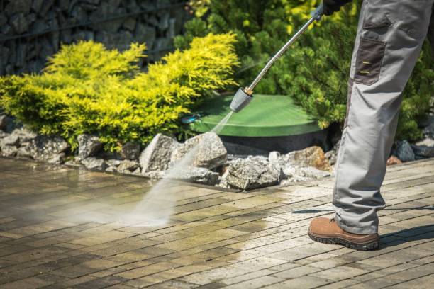 Best Roof Cleaning and Mildew Removal in Palmer, TX